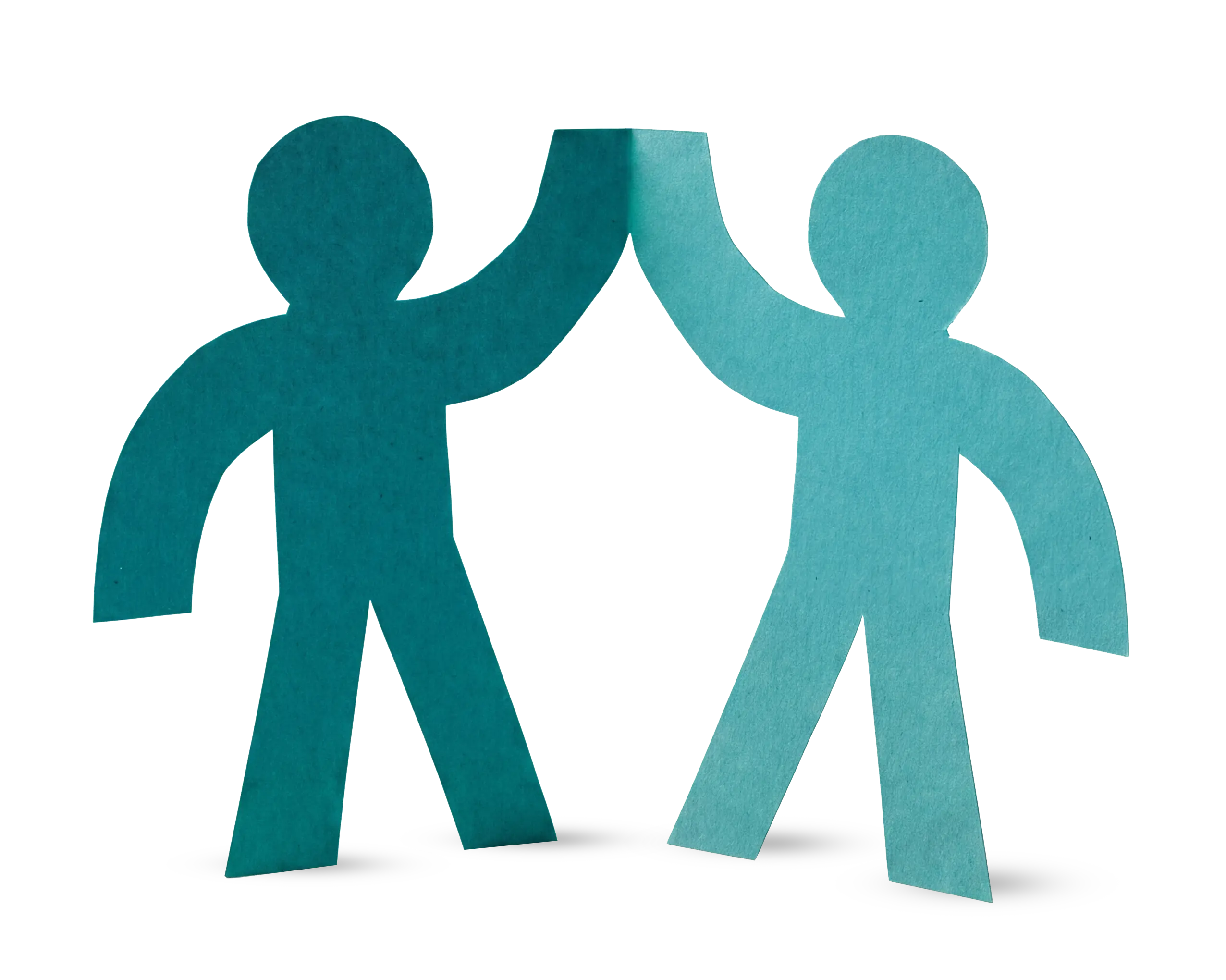 partner