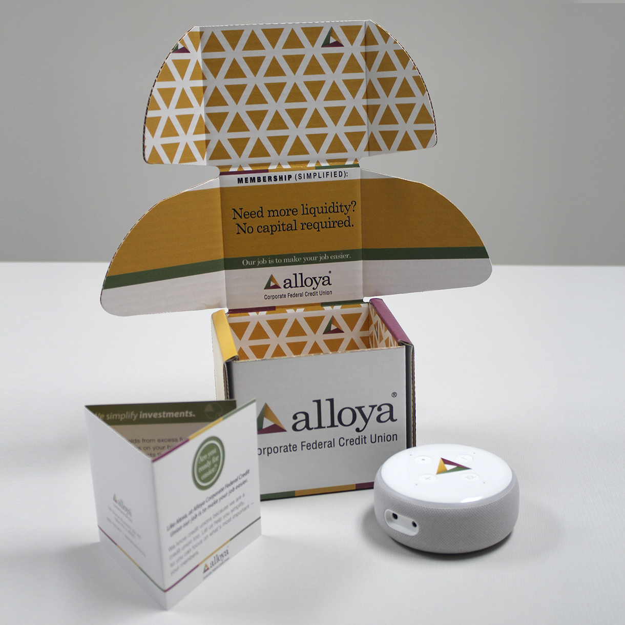 Alloya Corporate Invests In Neural Networks Alloya Corporate Credit Union - Echo Dot - LKCS
