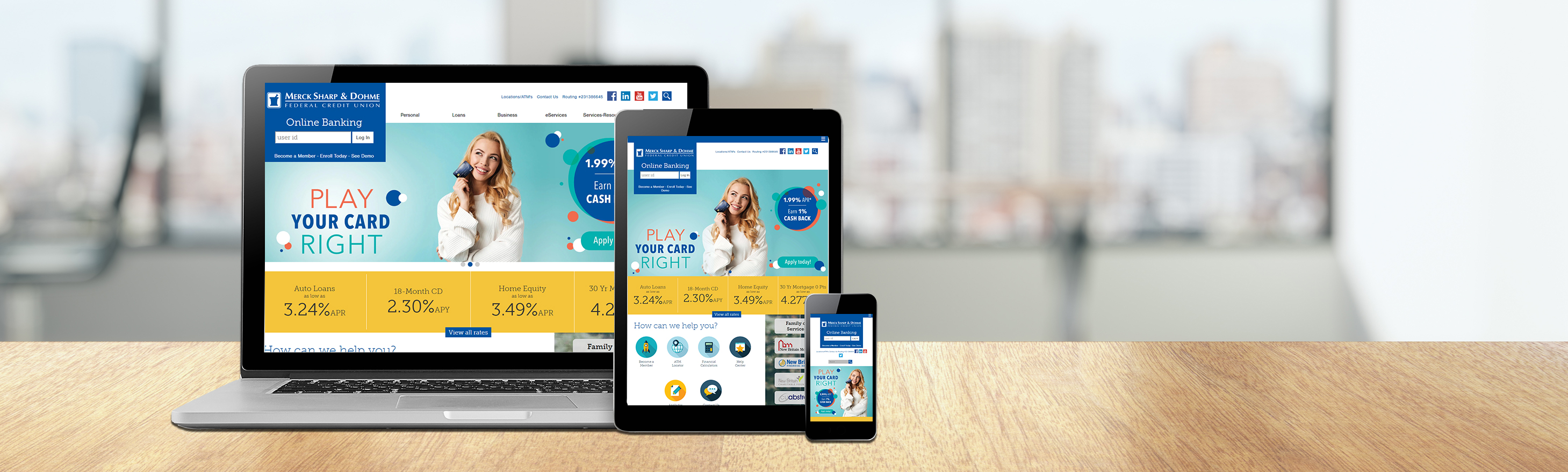 msd-fcu-portfolio-header